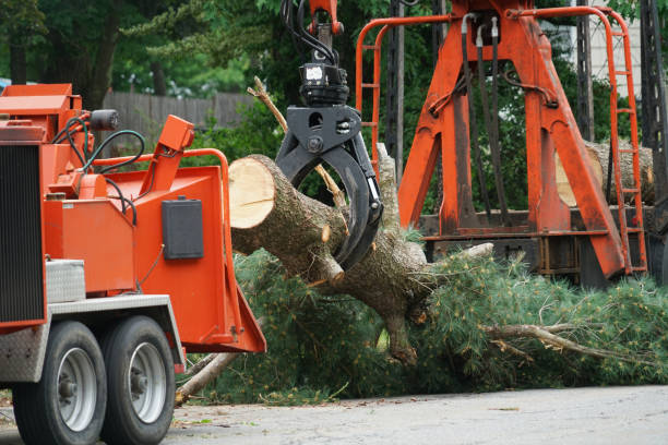 Best Mulching Services  in Guthrie, OK