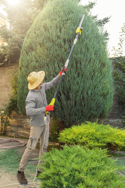 Best Seasonal Cleanup (Spring/Fall)  in Guthrie, OK