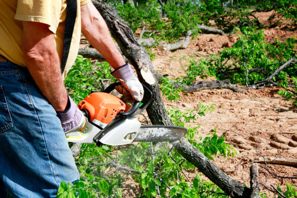 Best Commercial Tree Services  in Guthrie, OK